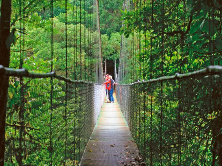 Visitar Costa Rica: La naturaleza en estado puro
