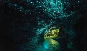Cuevas de Waitomo en Nueva Zelanda