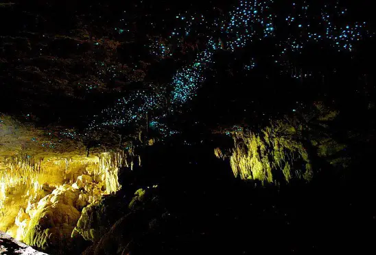 Cuevas de Waitomo, Nueva Zelanda1