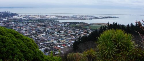 Nelson es el hogar de hermosas playas, colinas, impresionantes vías fluviales