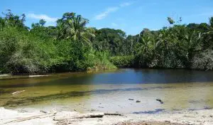 Visita el Parque Nacional Cahuita en Costa Rica