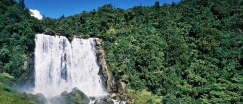 Waitomo, Nueva Zelanda 1