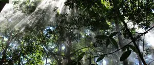 Visita Monteverde, Costa Rica