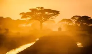 Mujer disfrutando de un safari en África