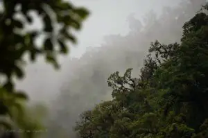 El Amazonas y el Camino Inca, Fascinante Itinerario de 12 días