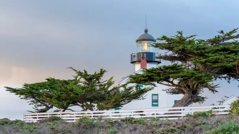 Escapada de un día a la península de Monterey: Monterey, Pacific Grove y Carmel-by-the-Sea