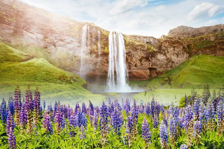 Ideas de viaje para la luna de miel perfecta en Islandia