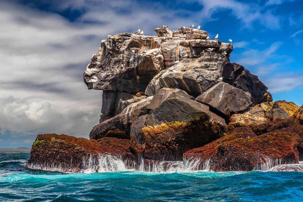 Viaje a Ecuador, Quito, Galápagos,