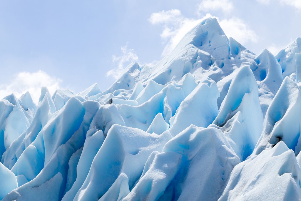 Navegando por la aventura de fauna y glaciares argentinos