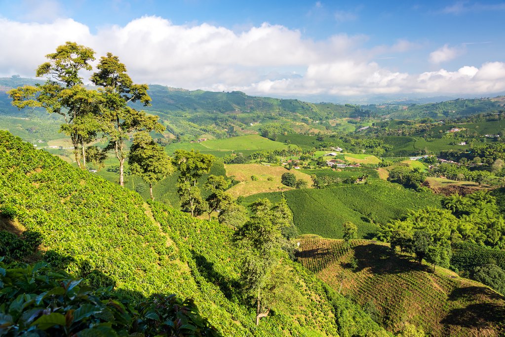 Región Cafetera de Colombia