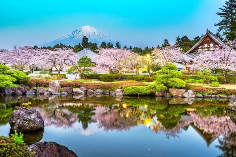 Japón en marzo: consejos de viaje, clima y más