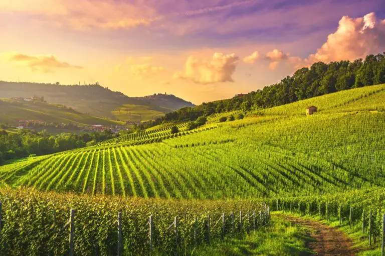 Regiones vitivinícolas de Italia: paisajes, ciudades y vinos de autor
