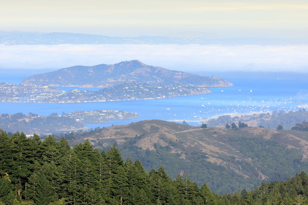 Mt Tam, Stinson Beach, Muir Woods: excursión de un día desde San Francisco