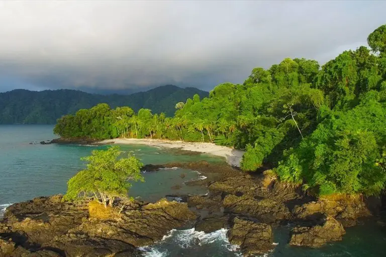 Costa salvaje del Pacífico de Colombia – 10 días
