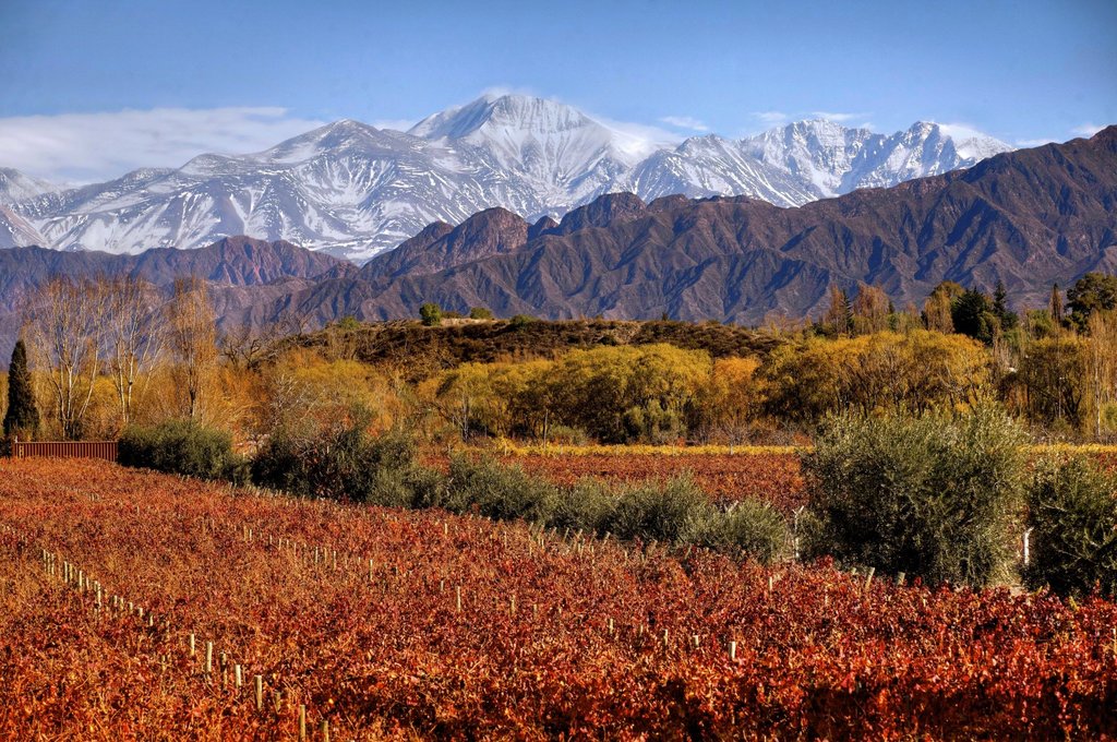 7 días en Buenos Aires y Mendoza