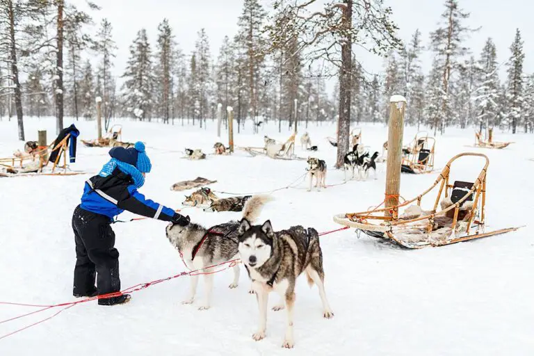 Aventura en trineo tirado por perros en Noruega – 6 días