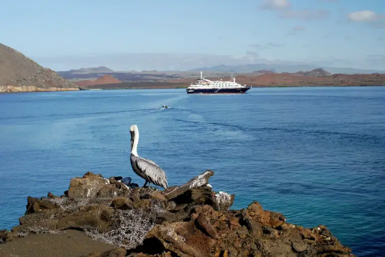 Cruceros a Galápagos: Itinerarios sugeridos