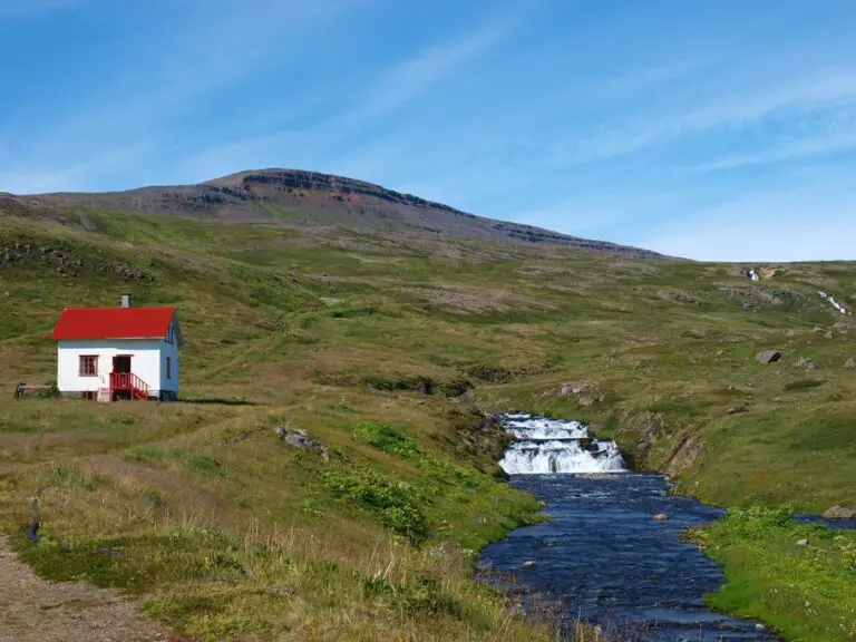 Guía de la reserva natural de Hornstrandir: desierto remoto en el noroeste de Islandia