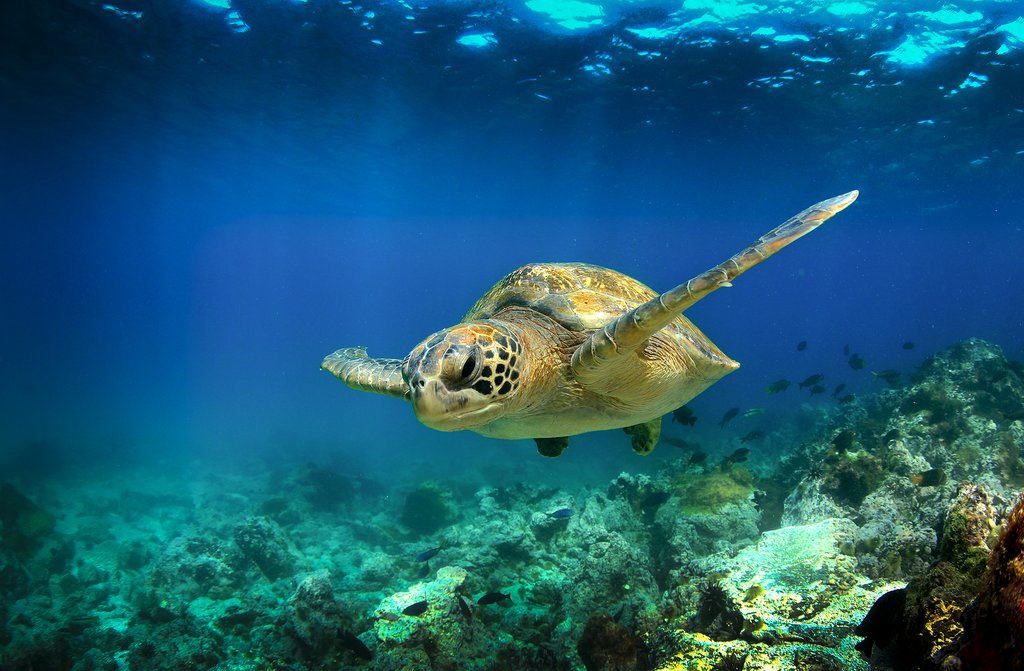 Lo mejor de las islas Galápagos