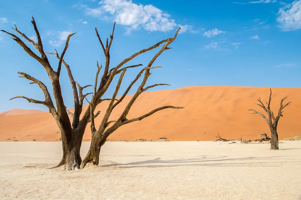 7 días por el desierto de Namibia