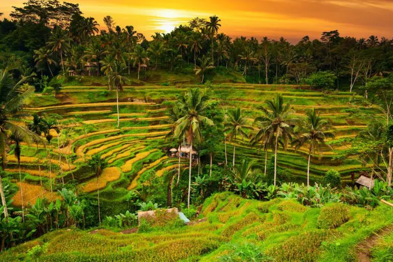 Lo mejor de Bali: Ubud, Seminyak y Nusa Lembongan – 10 días