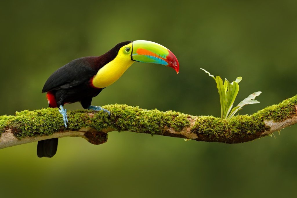 Técnicas de Viaje en Ecuador en Mayo
