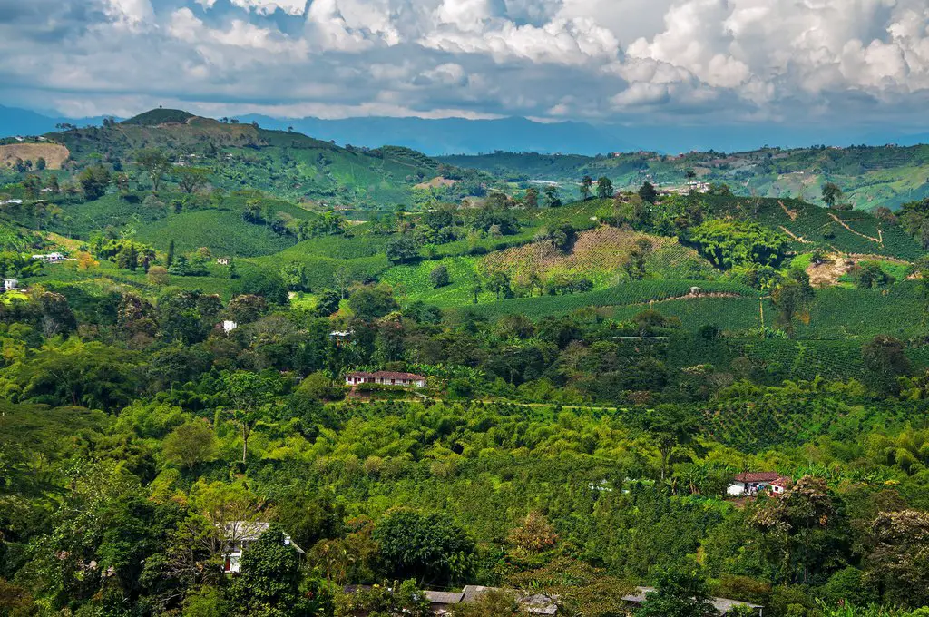 Bienvenido a la guía definitiva de la región cafetera de Colombia