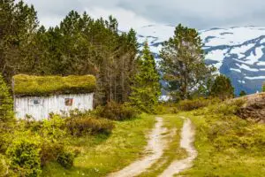 Viajar en familia por el campo de Noruega