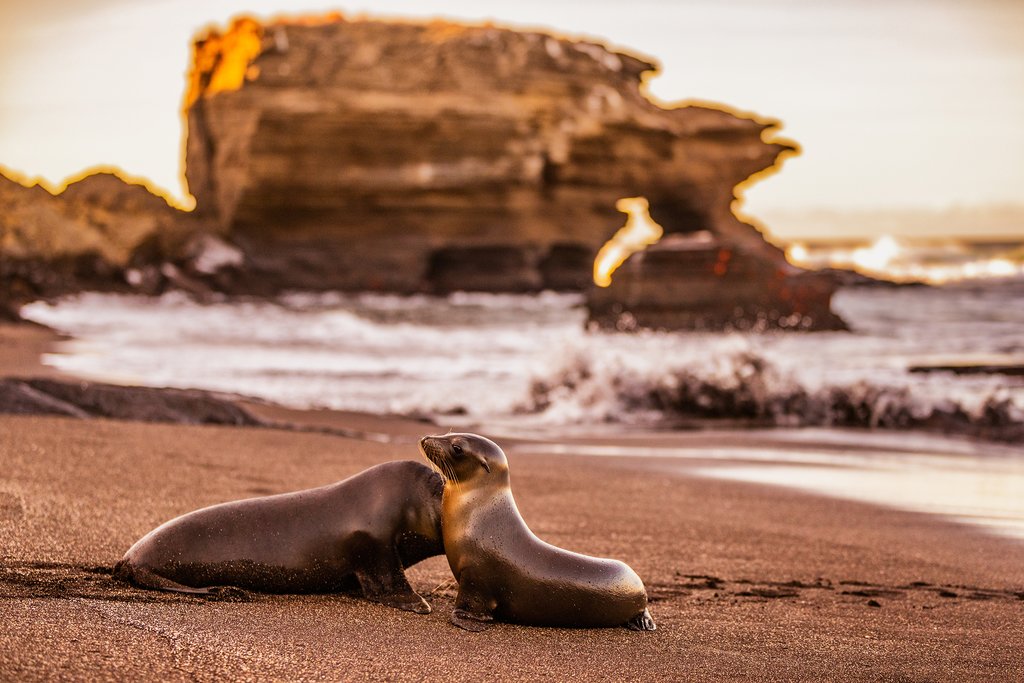 Gran Tour de las Islas Galápagos, 14 Días