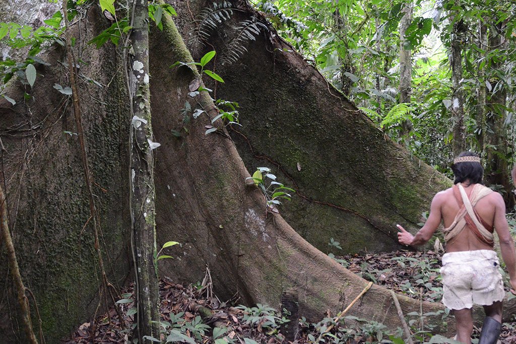 Excursión a las Tierras Altas del Ecuador y Jungle Lodge, Itinerario de 10 días