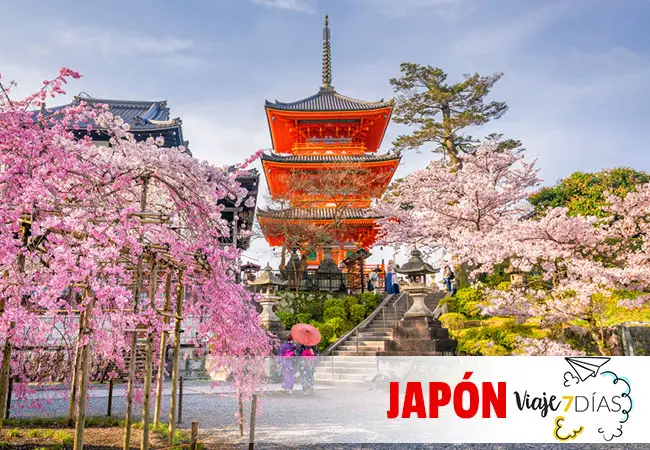 Japón es uno de los países más fascinantes del mundo